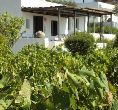 Niriides Villas Selinitsa Exteriör bild
